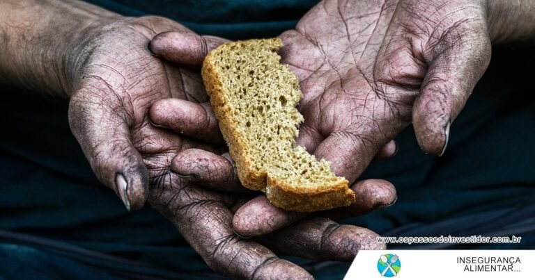 inseguranca alimentar, para, brasil ranking, economia