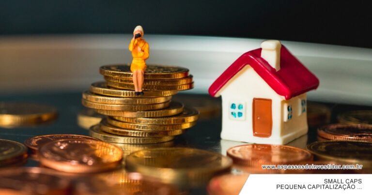 small caps, como investir em small caps, acoes, investimentos