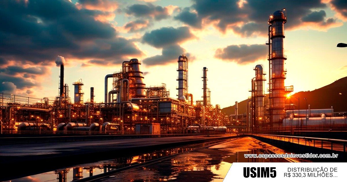 usiminas, acoes, dividendos