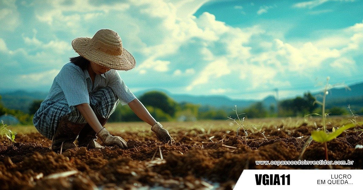 VGIA11, vg ativos imobiliarios, rentabilidade VGIA11, fiis